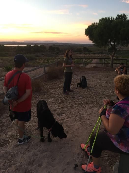 Ruta nocturna por el Parque Natural de Torrevieja