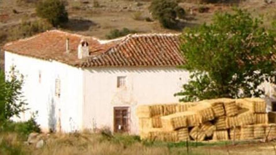 En concurso la firma que atrapó a 100 inversores de árboles y casas rurales