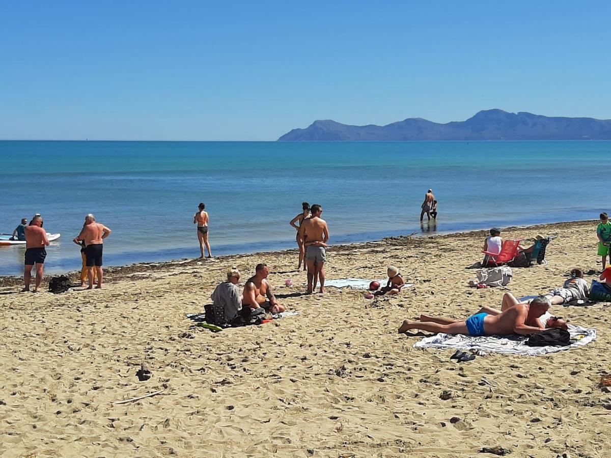 FOTOS | Mallorca se adelanta al verano: Son Bauló, en Can Picafort, se llena de bañistas