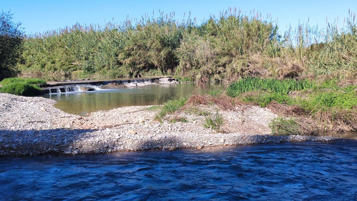 El agua del Túria discurre por Manises