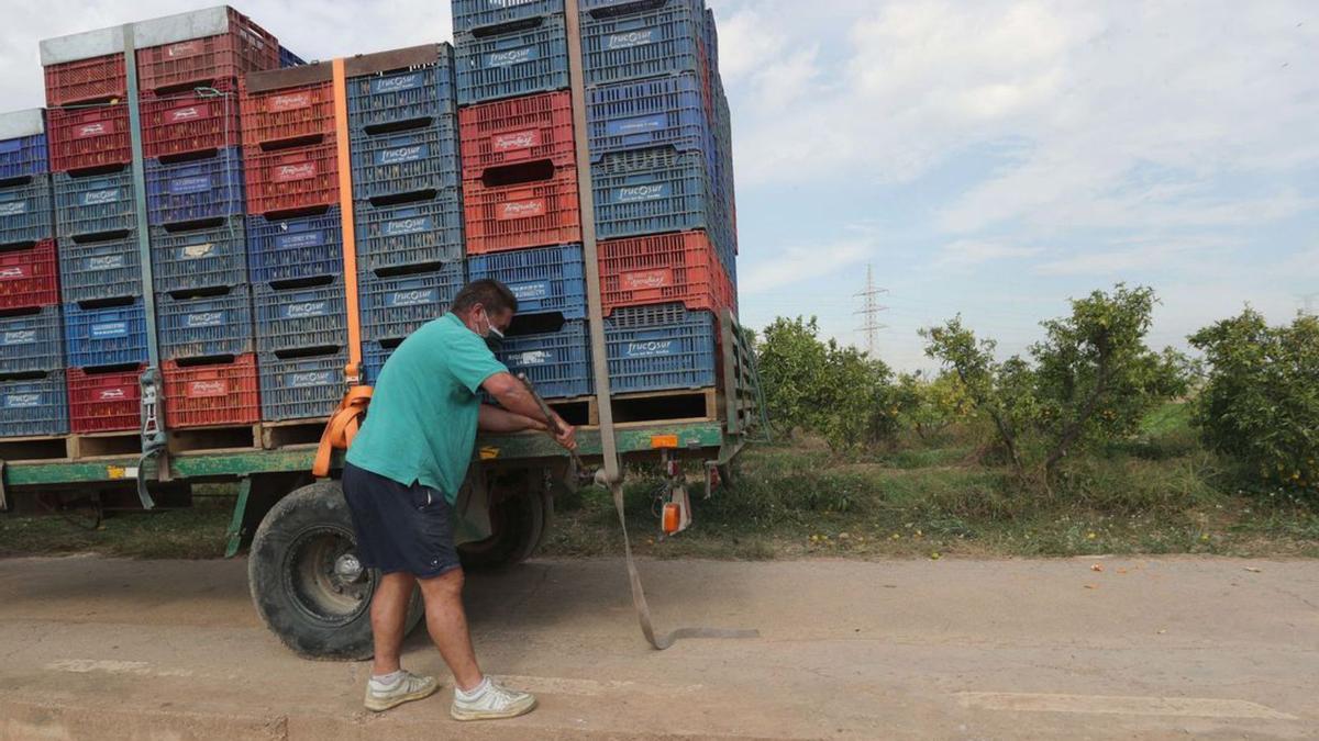 Un agricultor carga la cosecha. |j,m.lópez