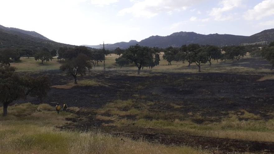 Una eléctrica, acusada de un incendio forestal en el norte de Córdoba