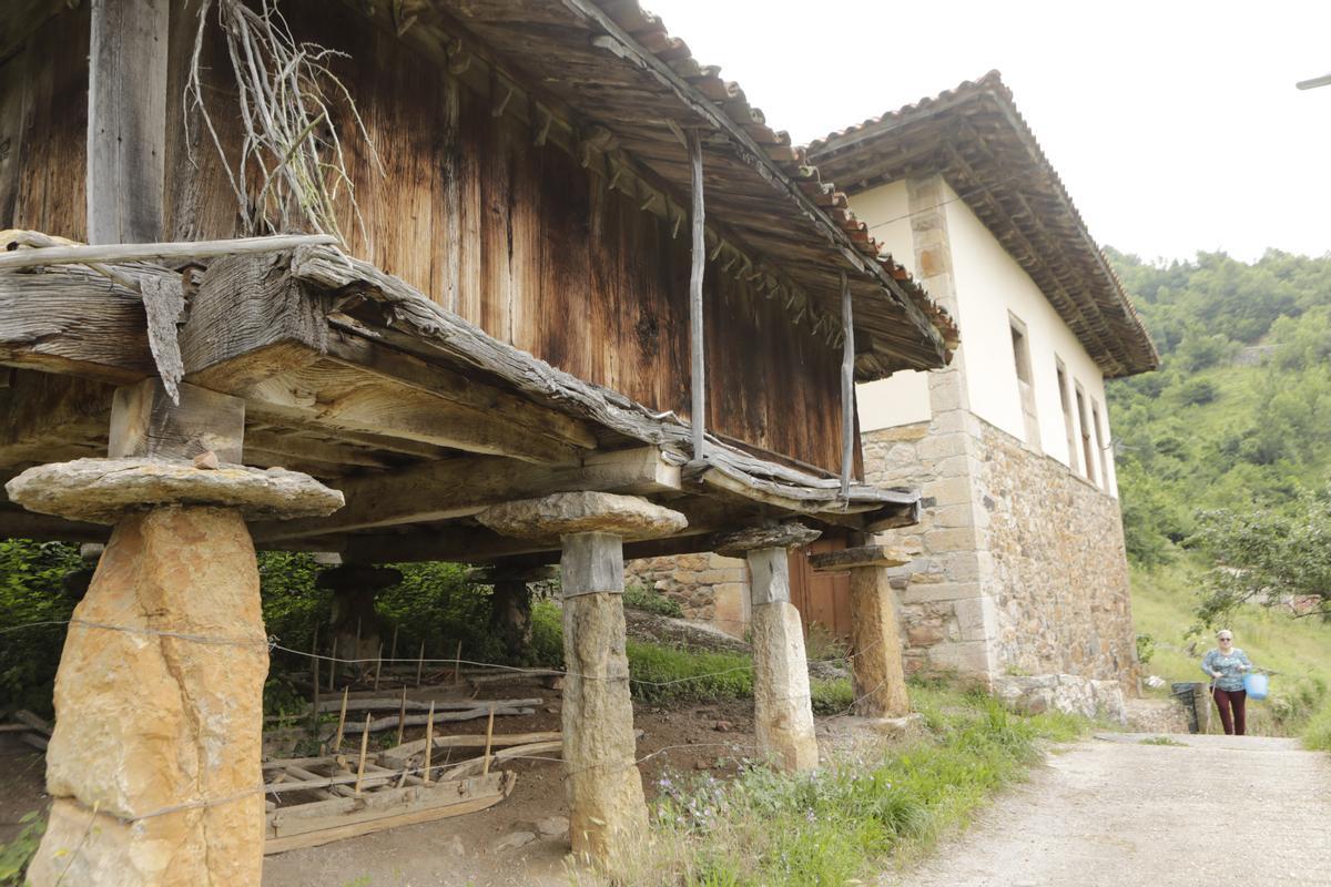 Bandujo, galería de fotos del pueblo más guapo de Asturias