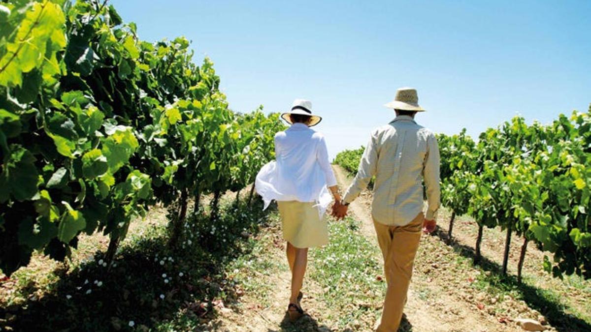Descubrir España a través de las Rutas del Vino