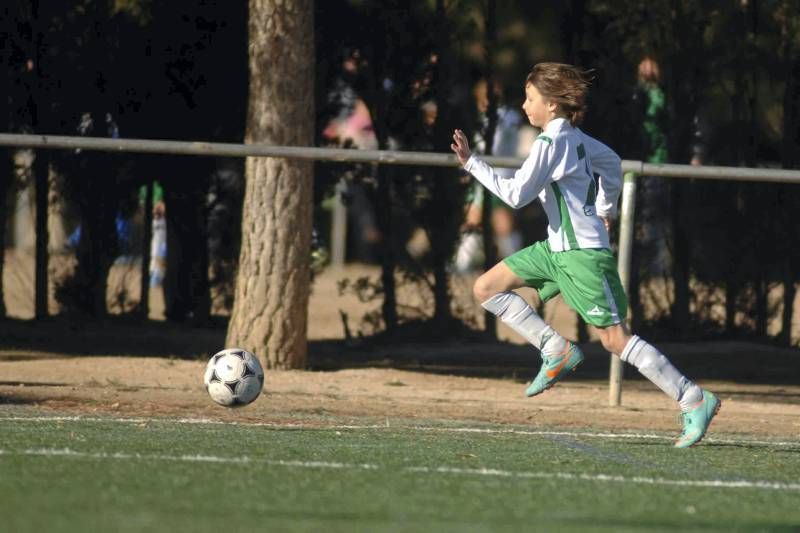 Olivar-Juventud (Infantil G-1)