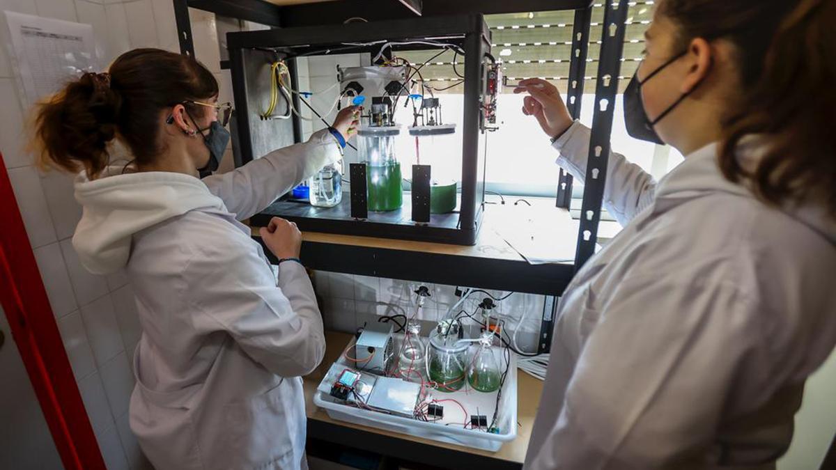 Alumnas de FP del IES Virgen del Remedio, en luna planta para el cultivo y estudio de microalgas.