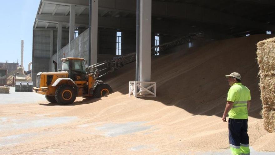 Silo de almacenamiento de Cobadu.