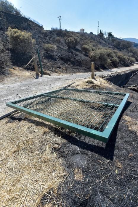 11-08-2019 Artenara. Segundo día del incendio en la cumbre  | 11/08/2019 | Fotógrafo: Andrés Cruz