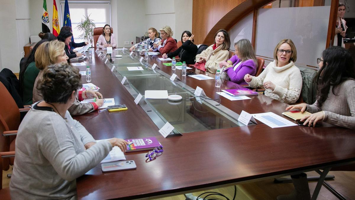 El Consejo Extremeño de Participación de las Mujeres, en su primera reunión de la legislatura.