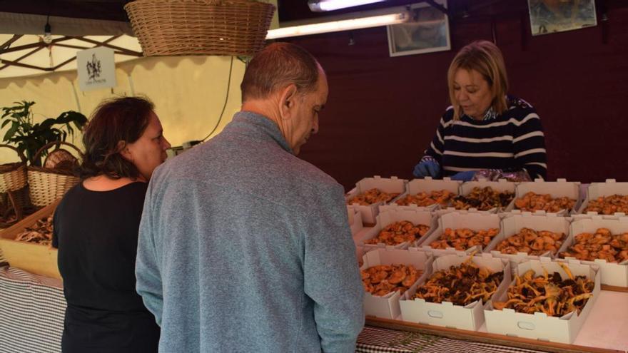 El Mercat del Bolet de Cal Rosal engega la temporada de 2026 la vigília de la Diada