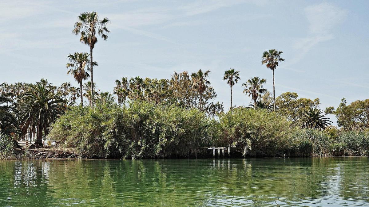 La isla de Buda es uno de los rincones naturales más privilegiados de Tarragona