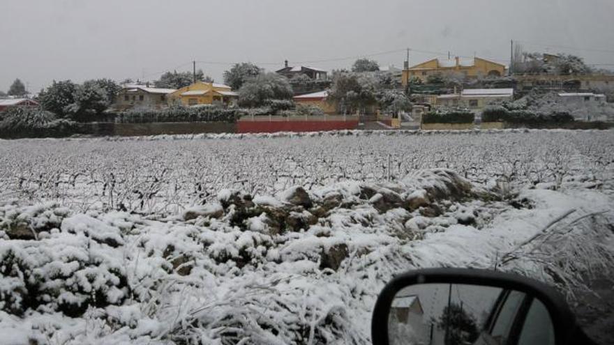 Nieve en la urbanización Cañapar de Turís.