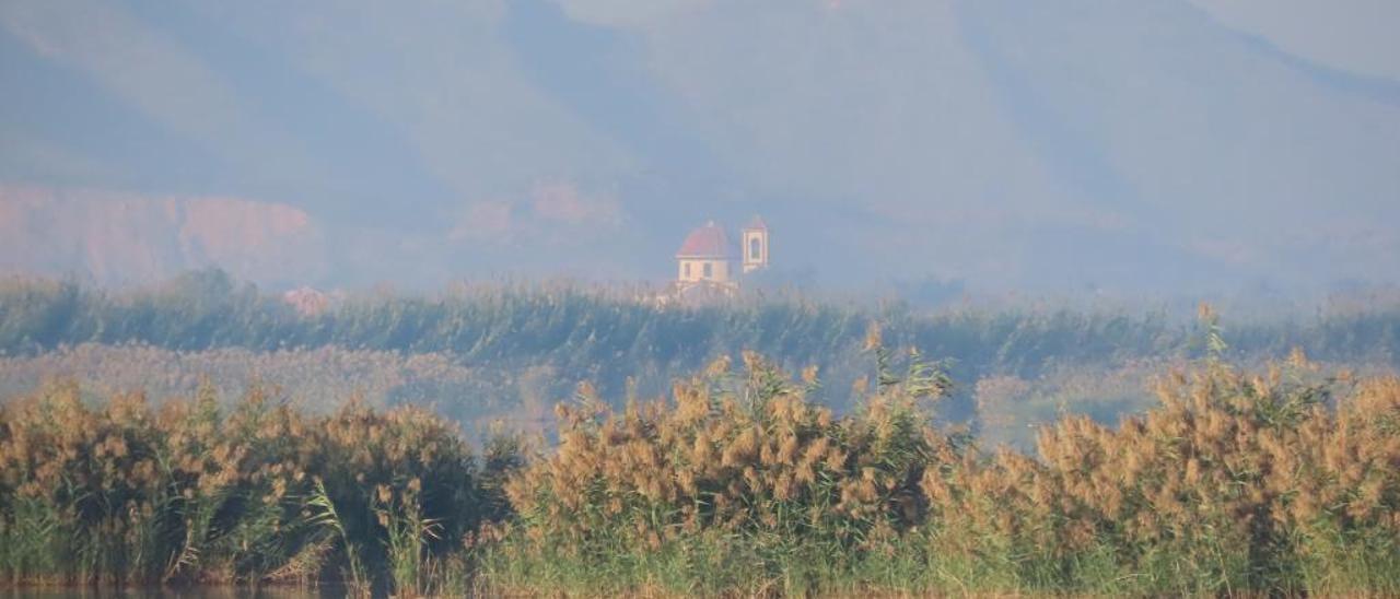 Aves en uno de los embalses de El Hondo, donde se está regulando la presencia de carpas que afectan al ecosistema