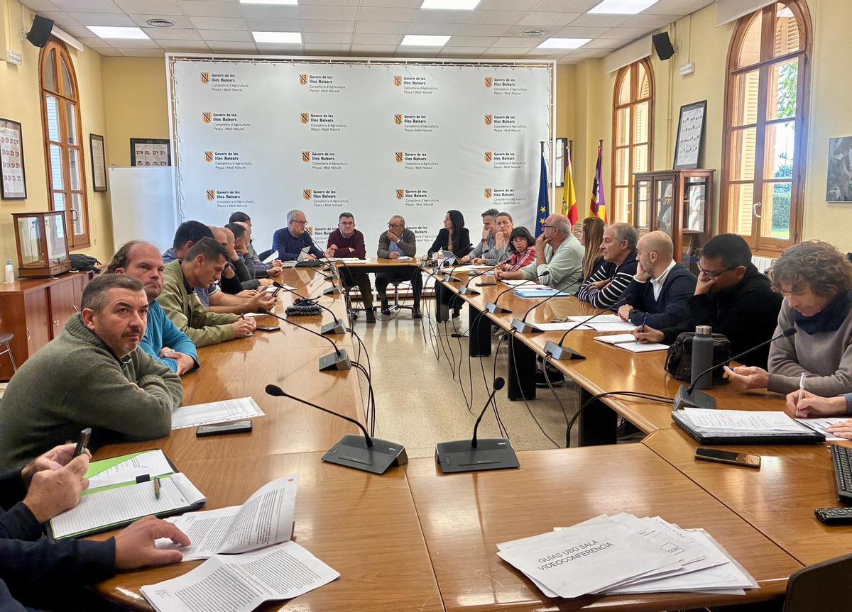 Reunión este sábado en Palma para explicar el Plan de Conservación Marina