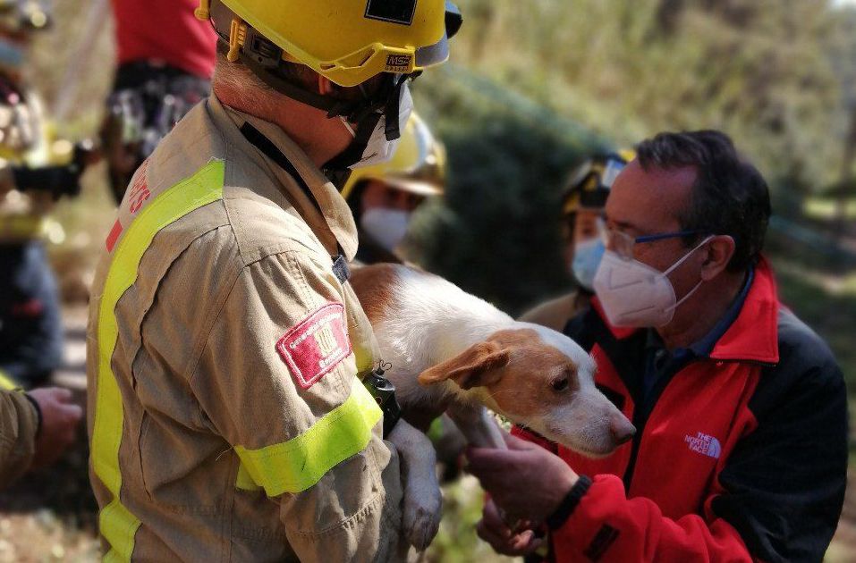 Rescate de tres perros en Sant Boi
