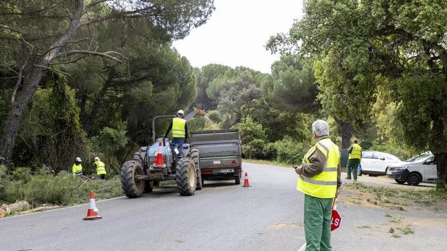 La Diputación de Córdoba continúa los trabajos de poda y desbroce en 11 carreteras de la sierra para prevenir incendios forestales