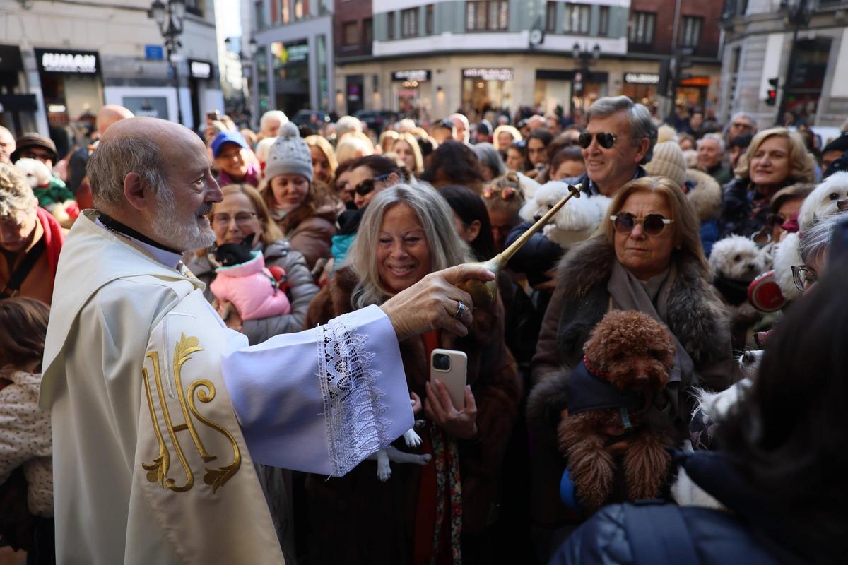 EN IMÁGENES: Oviedo bendice a sus mascotas por San Antón