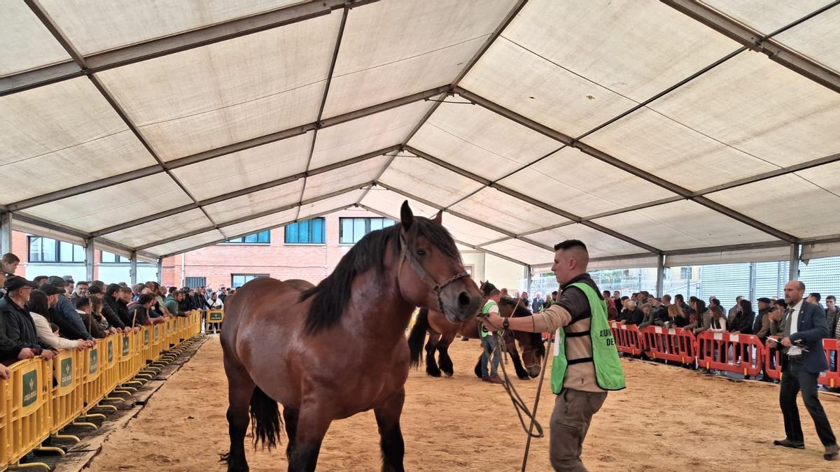 Participantes en el concurso.