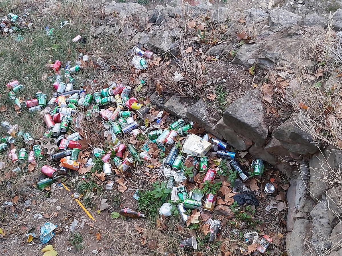 Brutícia a un dels marges turó del Puigcardener, al parc de la Seu