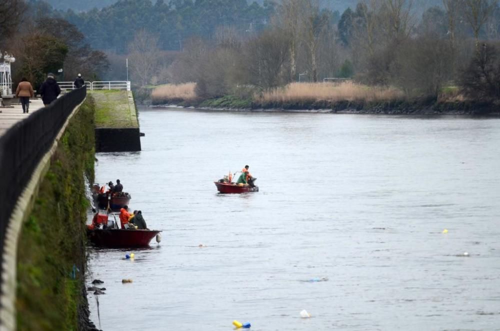 Pesca de lamprea en el río Ulla