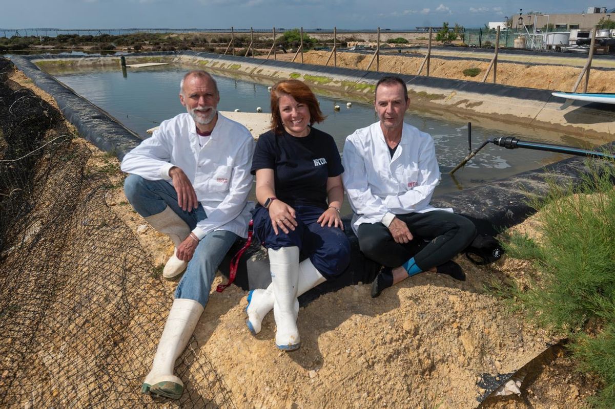 Los investigadores del programa BlueBoost Neil Duncan, Elvira Fatsini y Ignasi Gairin, los dos últimos del IRTA, posan frente a uno de los estanques donde experimentan con nuevos cultivos multitróficos.