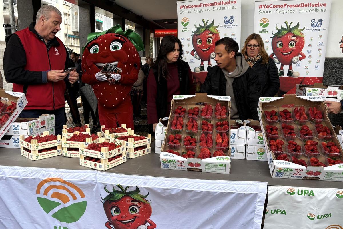 Reparto de fresa de Huelva de UPA en Sevilla, hace unos días.