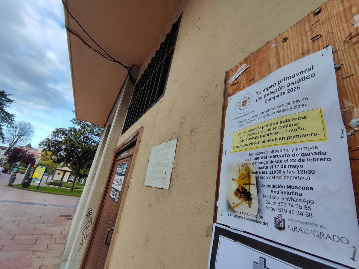 Cartelería de la campaña colocada en un tablón de anuncio cerca del parque de Abajo de Grado.