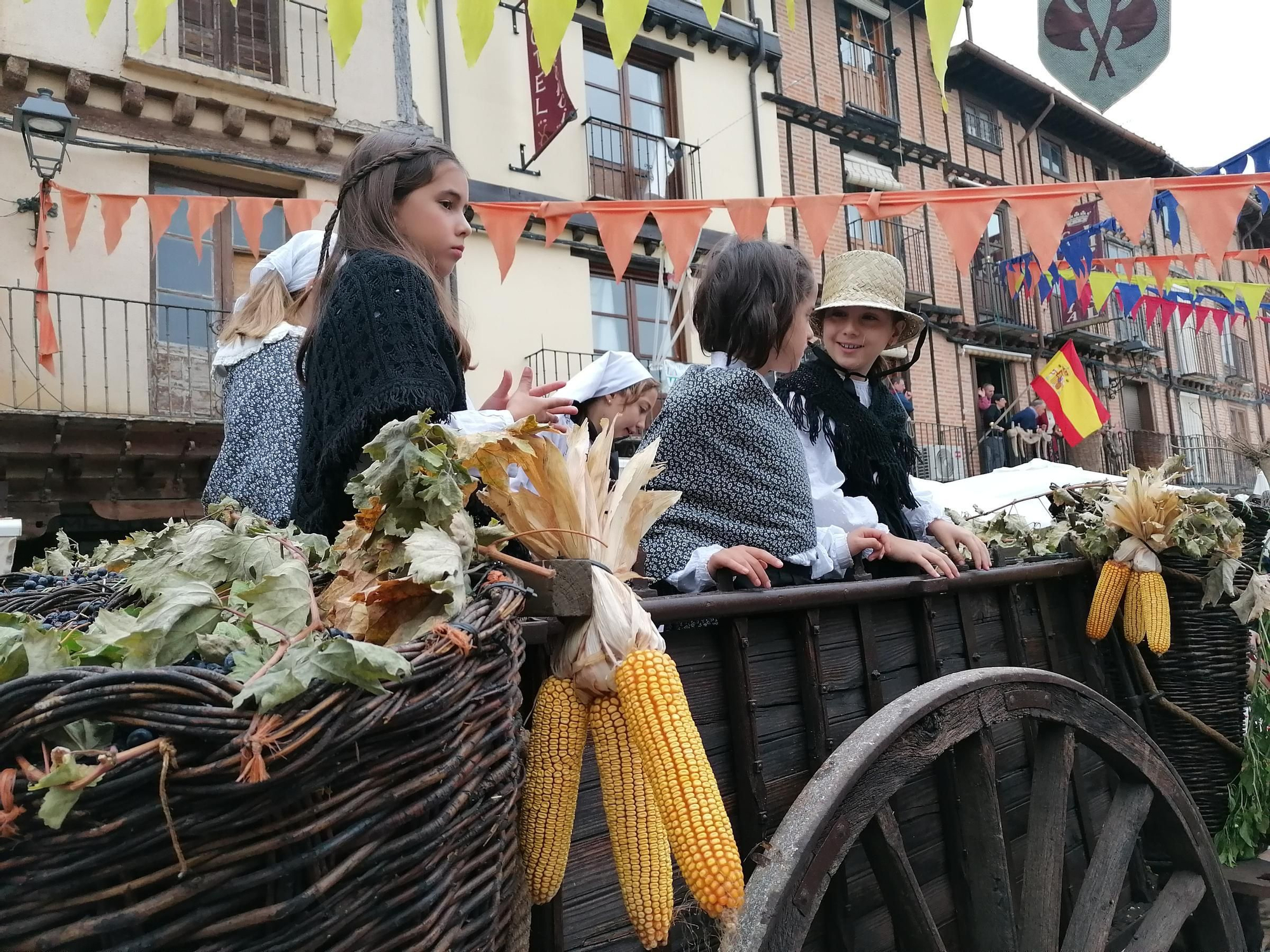 GALERÍA | Toro recrea la vendimia tradicional en el desfile de carros