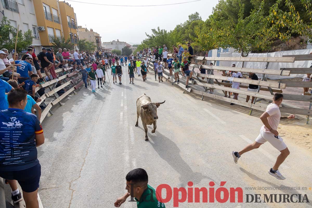 Segundo encierro de la Feria Taurina del Arroz en Calasparra