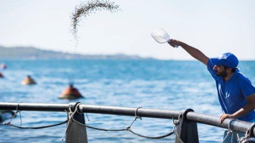 Profand compra una pesquera griega y se asienta en el top 10 de empresas gallegas