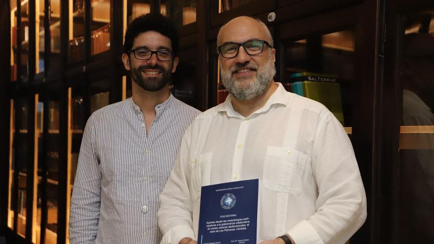 Inventan un ascensor de palmeras con el motor de una motosierra.