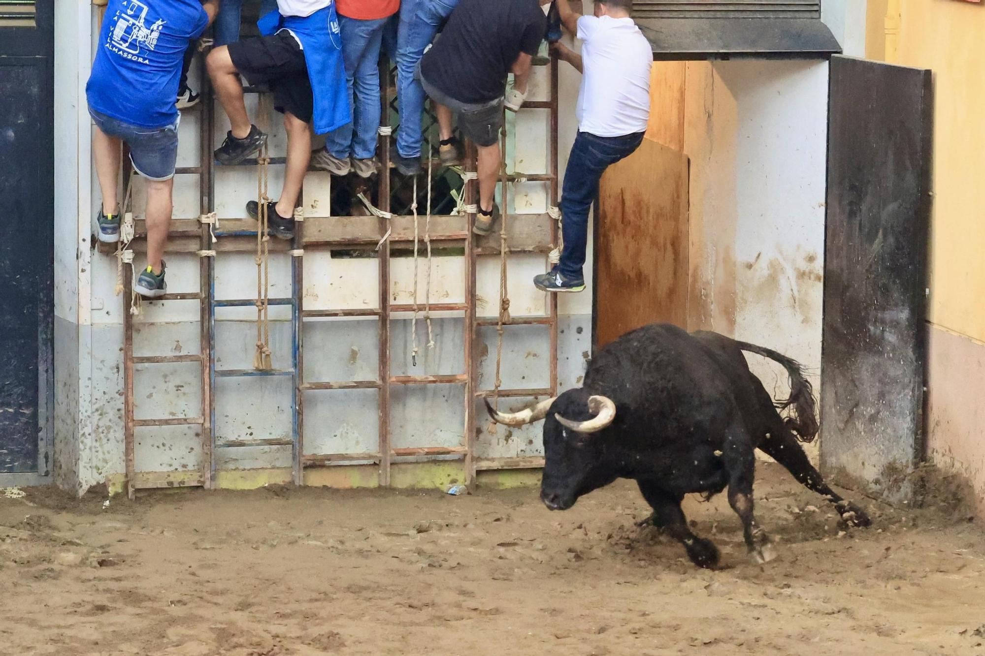Galería de fotos de la penúltima tarde de toros de las fiestas del Roser en Almassora