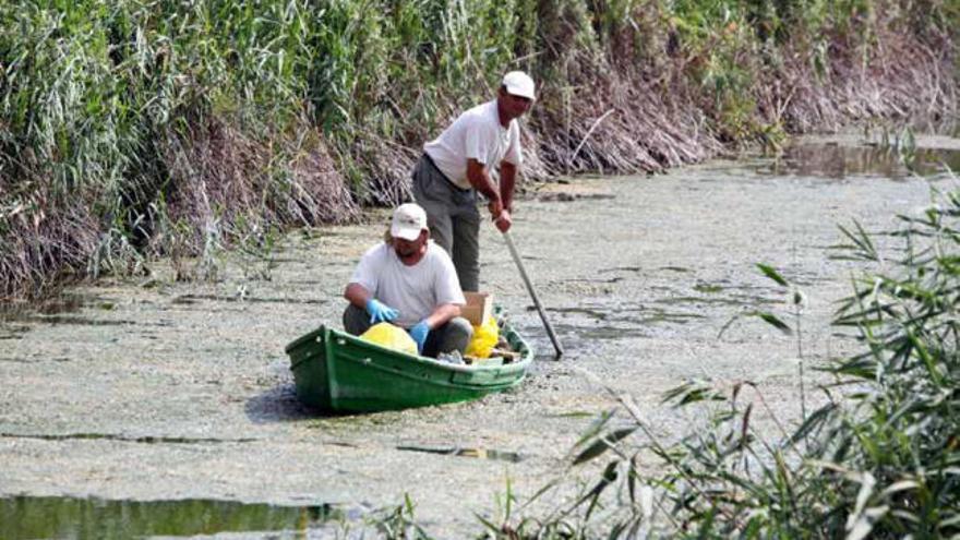 Los voluntarios entrarán con barcas para retirar carpas.