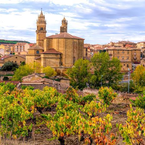 La Ruta Mágica del Vino desde Borja hasta Peñafiel siguiendo la Ribera del Duero