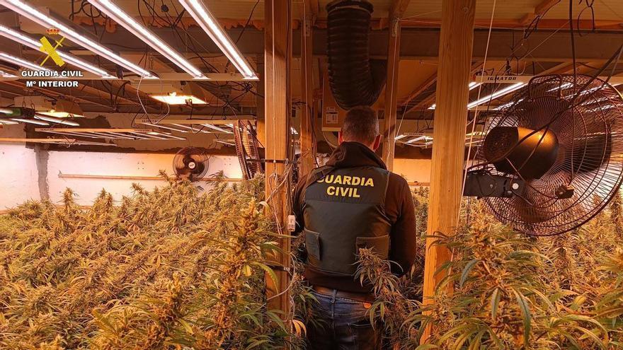l detiene a un hombre que huía de Ontinyent tras ser descubierta su plantación de marihuana