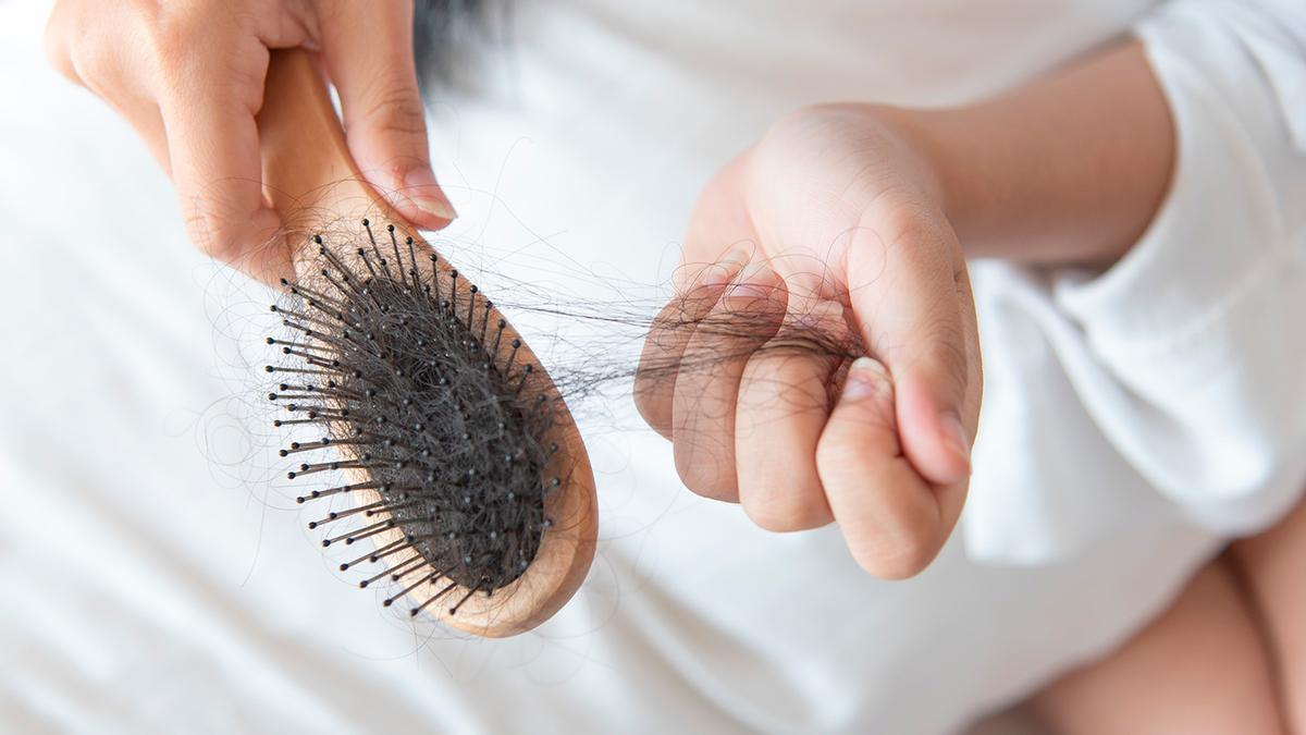 FRENAR CAÍDA DEL PELO: La gran duda sobre la pérdida de pelo: ¿Cepillarse  el cabello a menudo favorece su caída?