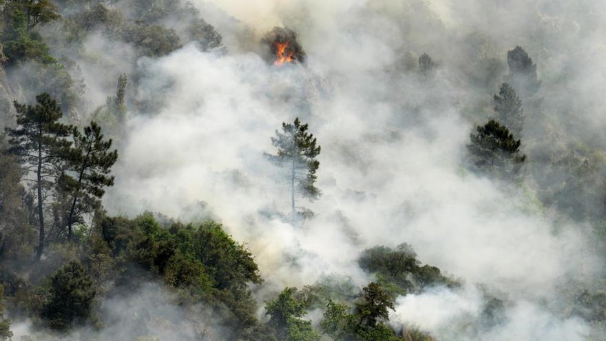 Incendio forestal declarado en Sober // EFE