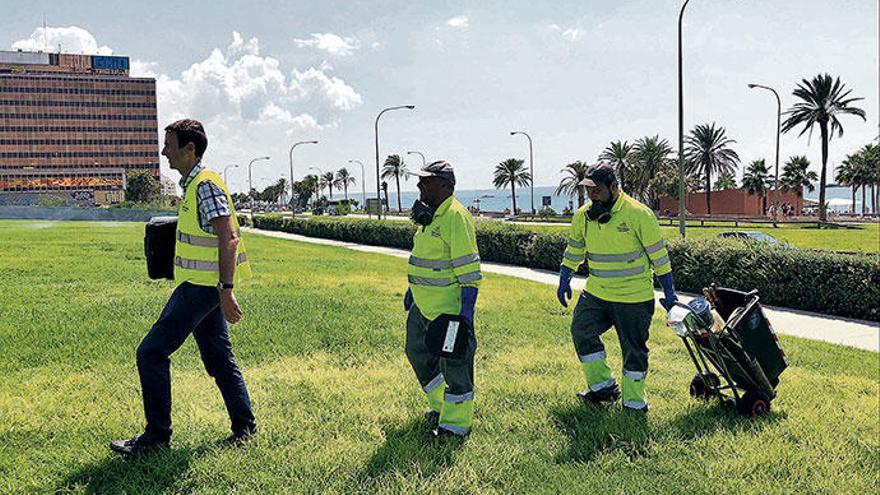 Mission: Palma plagenfrei zu kriegen. Alberto Chordá (li.) und seine Mitarbeiter Carlos und Roberto.