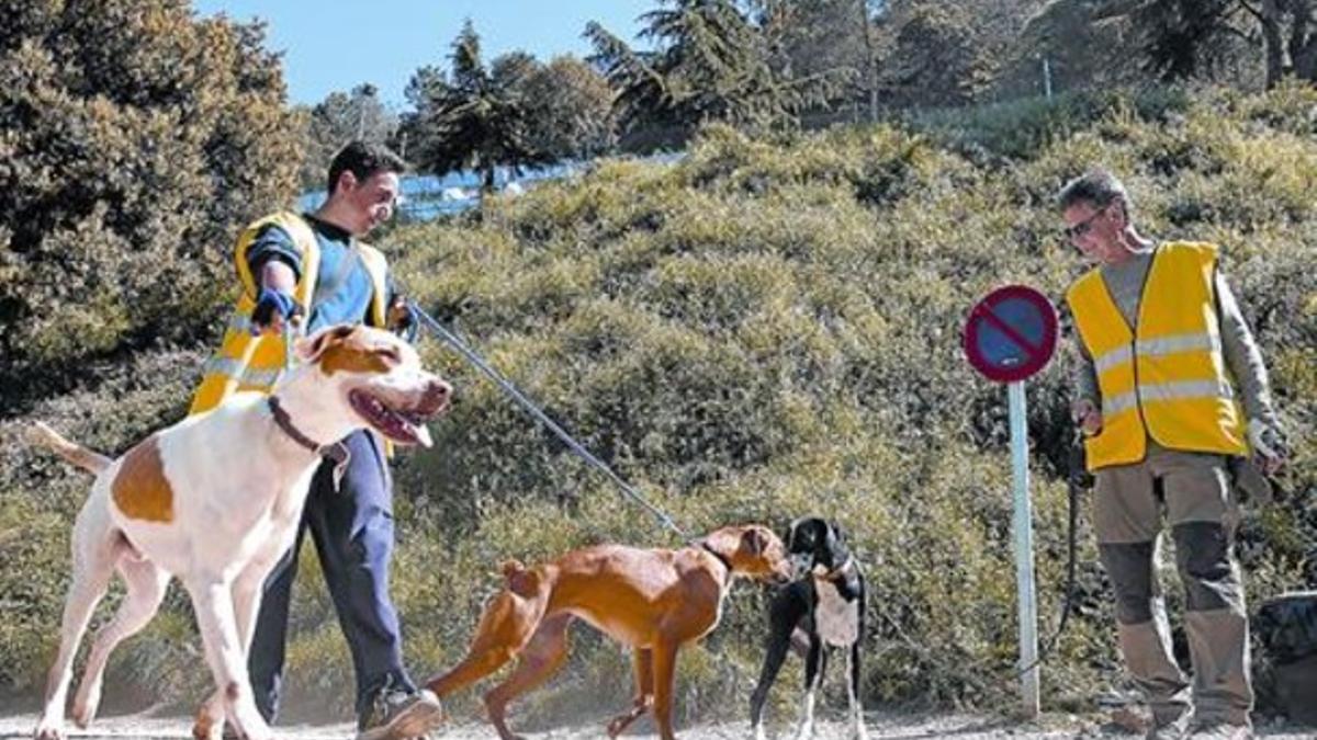 Socialización 8Unos voluntarios pasean perros en el exterior del centro de acogida de la Arrabassada.