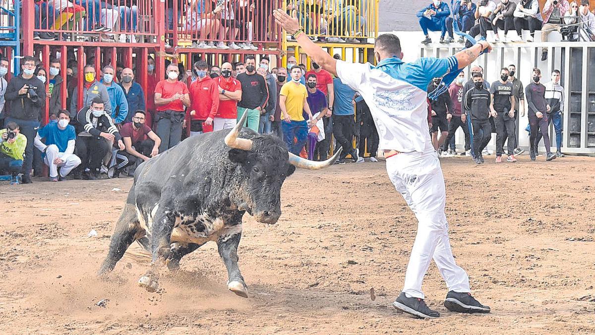 Los actos taurinos de la Fira d’Onda están siendo un éxito de público en cada una de las citas programadas.