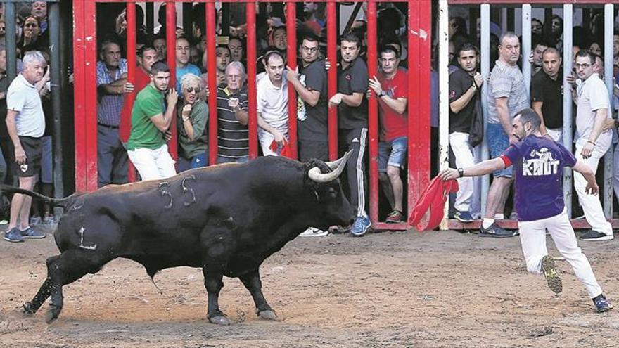 Compromís planta de nuevo a los aficionados taurinos al ‘bou al carrer’