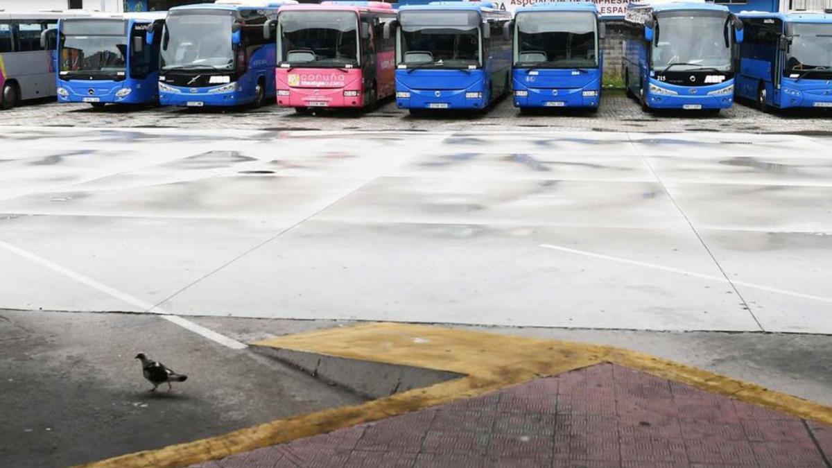 Estación de autobuses de A Coruña. |   // CARLOS PARDELLAS