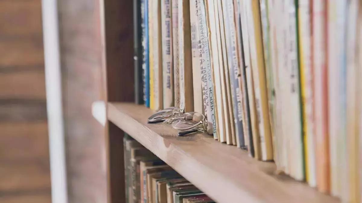 Entre ellos, las novedades navideñas de Sophie Jomain y Megan Maxwell.