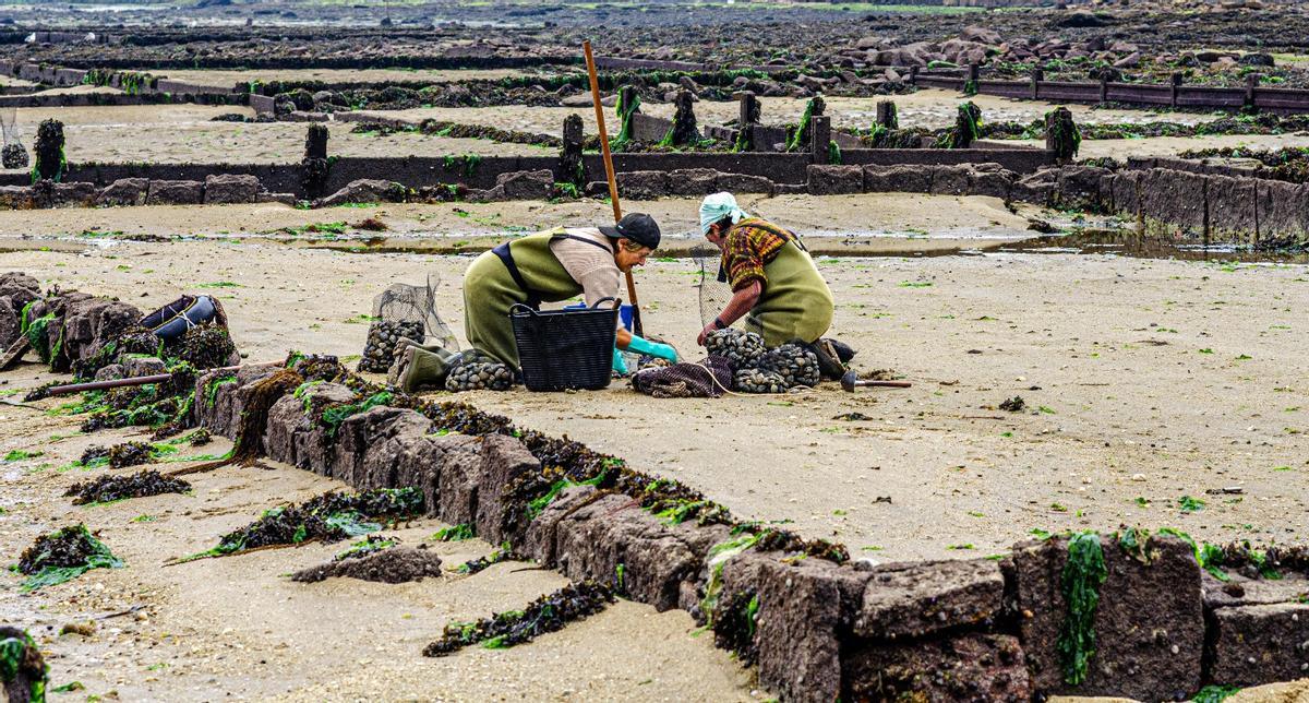 Dos mariscadoras en O Grove, antes del parón.