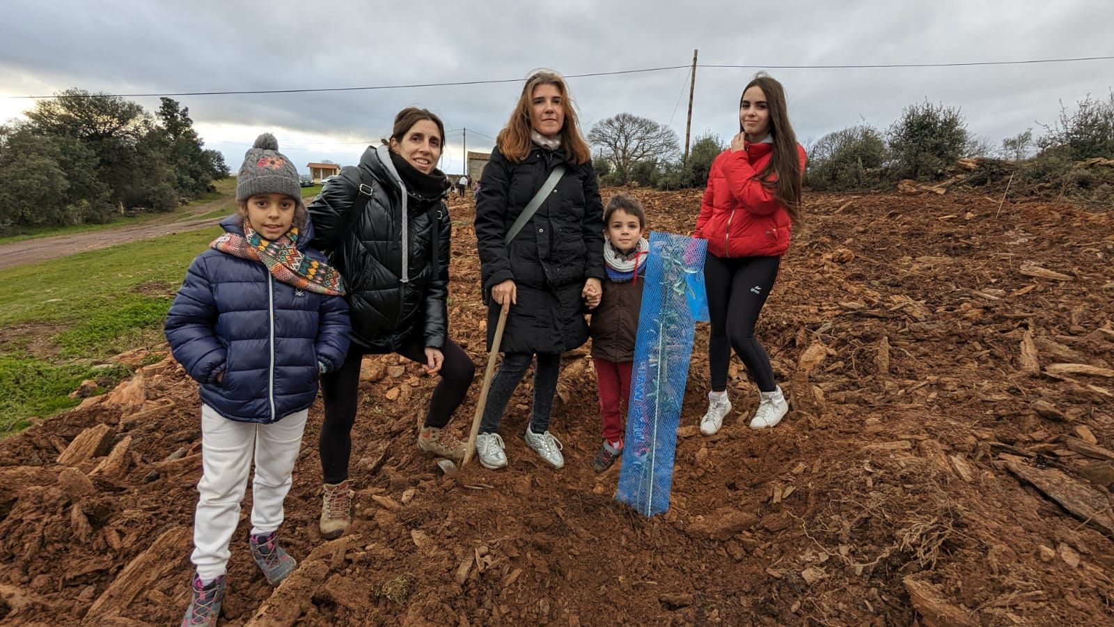 GALERÍA | Un jardín de 20 especies de olivos en Aliste