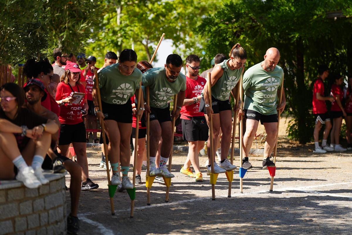 Una de las carreras de zancos de las Olimpiadas Rurales, que vuelven a Añora este fin de semana.