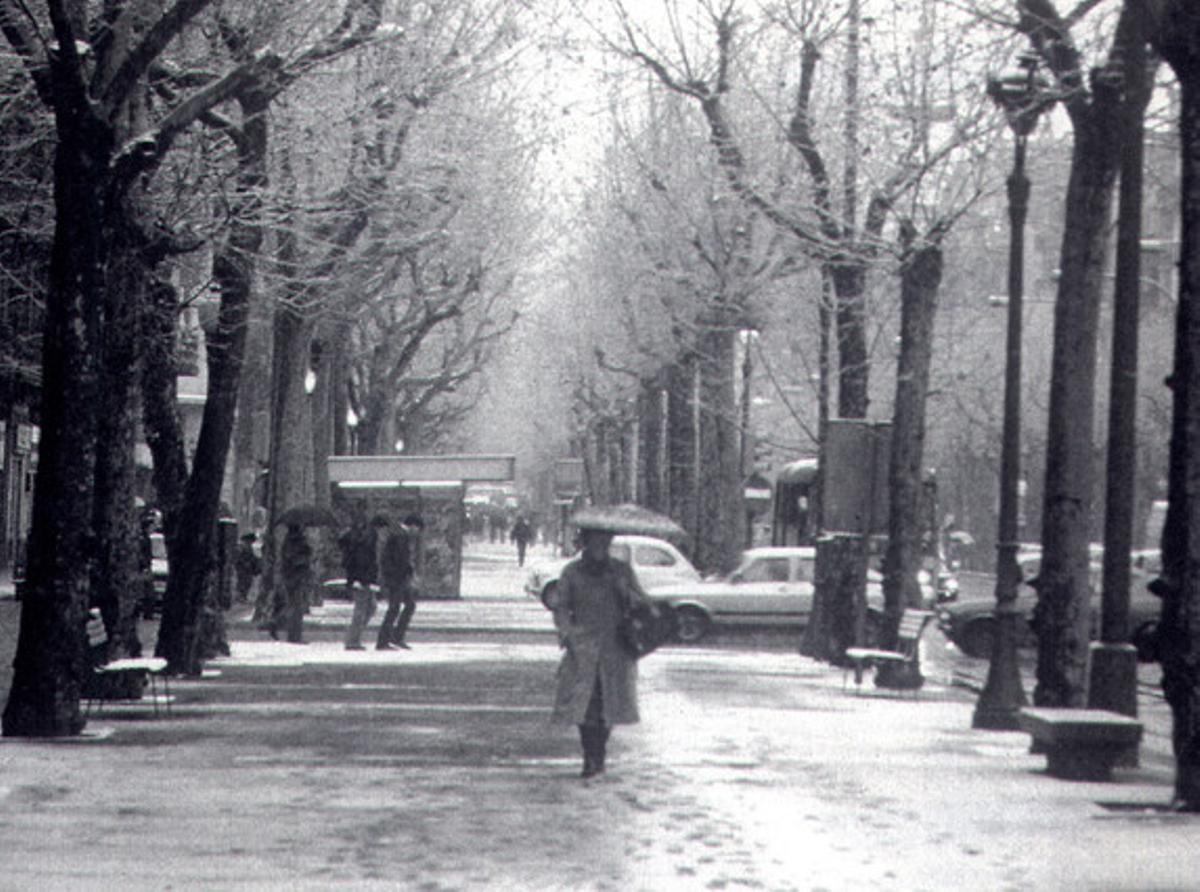 Una gélida imagen de la avenida Diagonal.