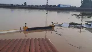 Noche a la intemperie en Benicull: «Nos abrigamos un poco y subimos a la terraza con los perros, lo hemos perdido todo»