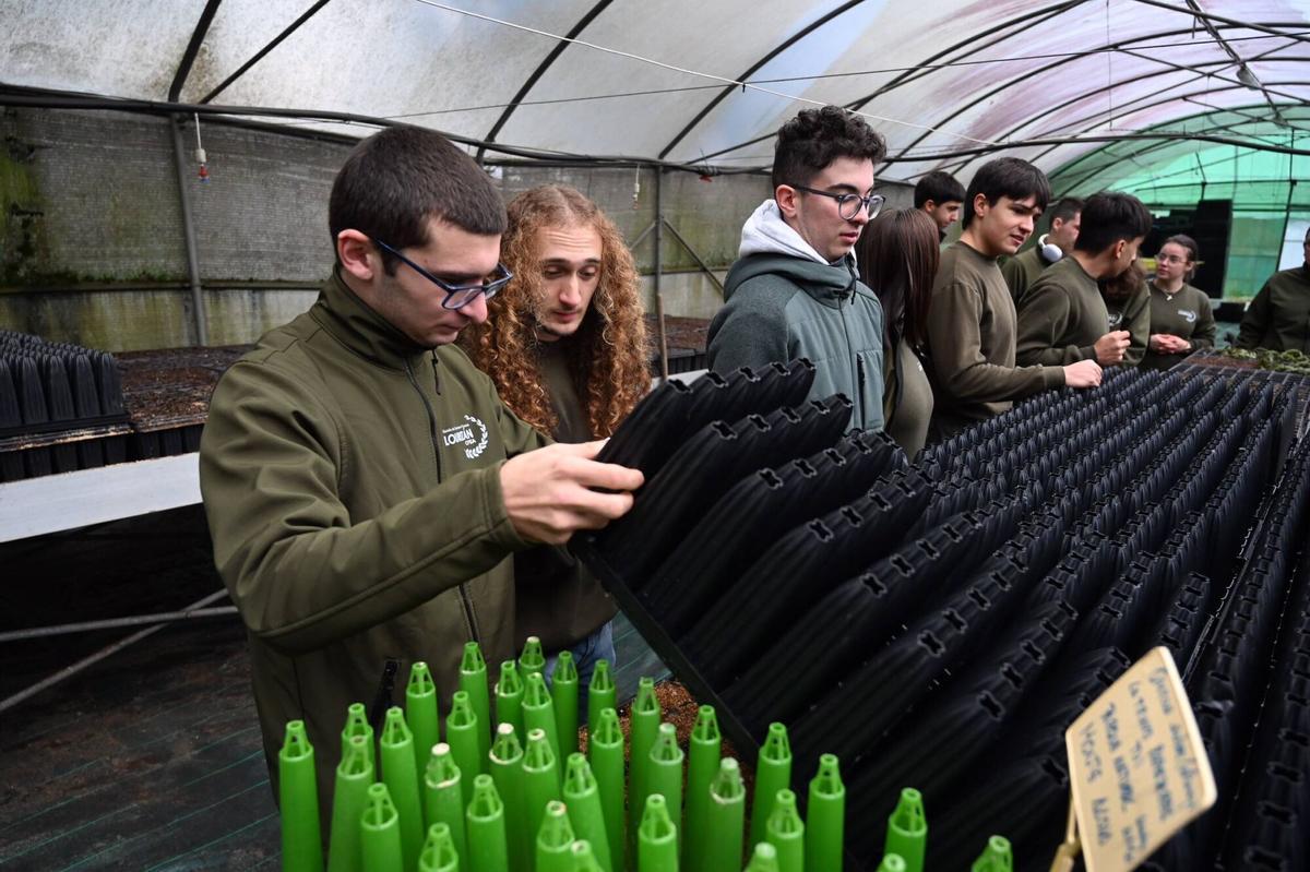 Alumnos del Centro de Formación e Experimentación Agroforestal de Lourizán