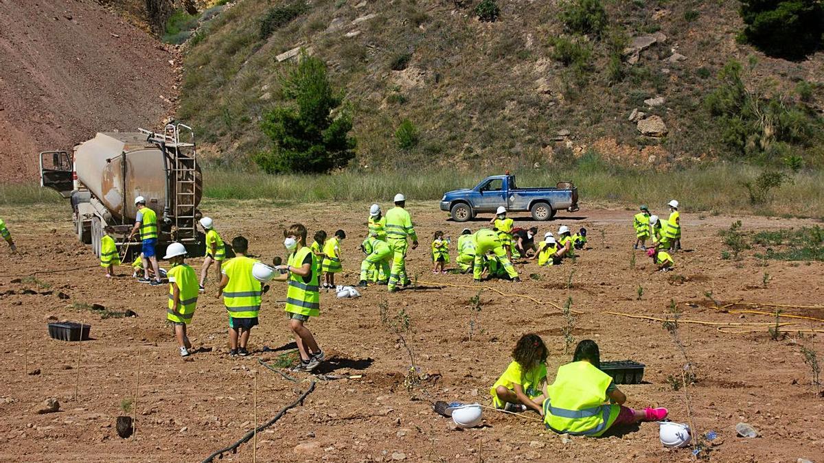 Los pequeños plantaron un centenar de árboles en los alrededores de la cantera de CEMEX. | SERVICIO ESPECIAL